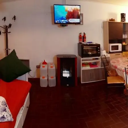 Apartment Singlin